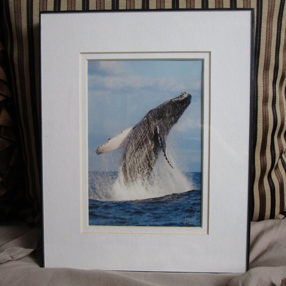 framed souvenir photograph